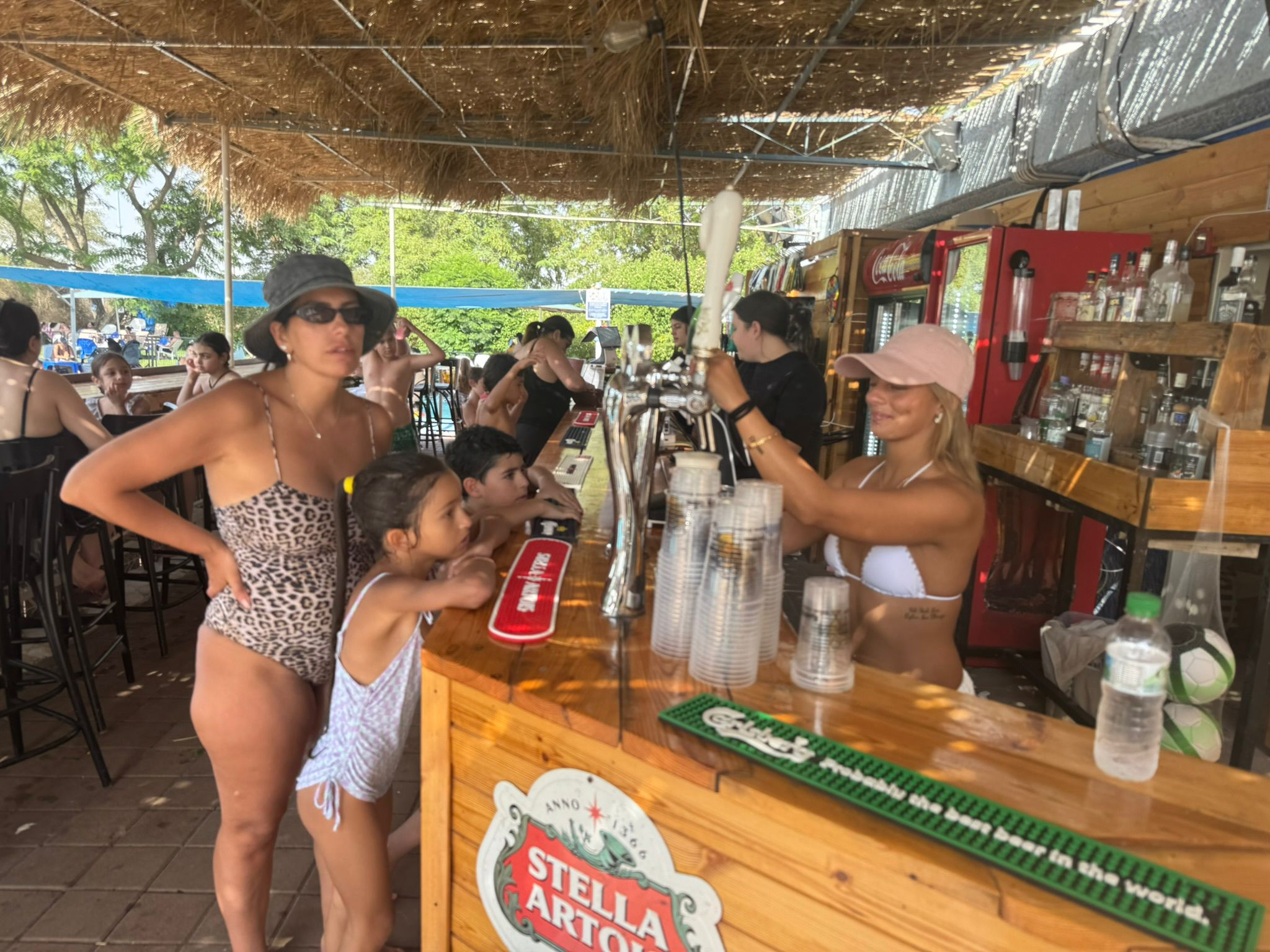 שירות בבר